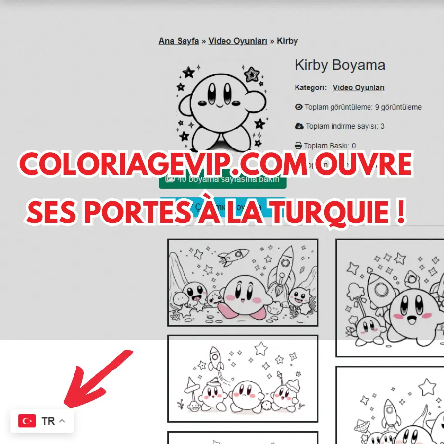 Instructions pour passer au langue Turquie sur coloriagevip.com