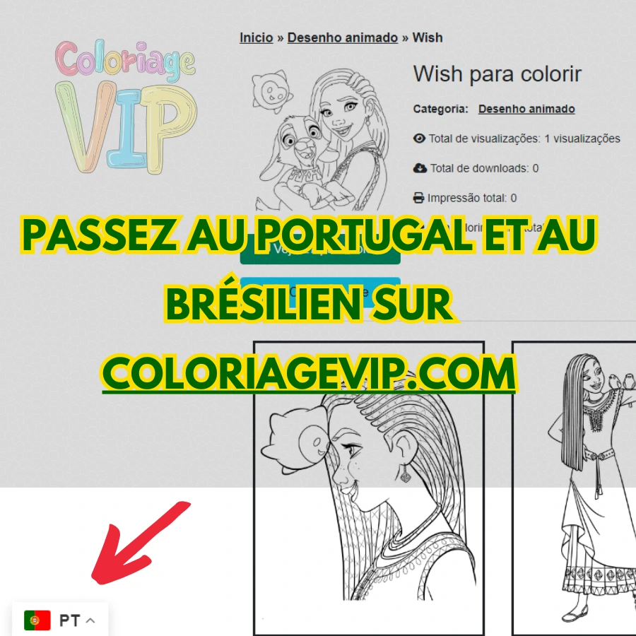 Instructions pour passer au langue portugais et du brésilien sur coloriagevip.com