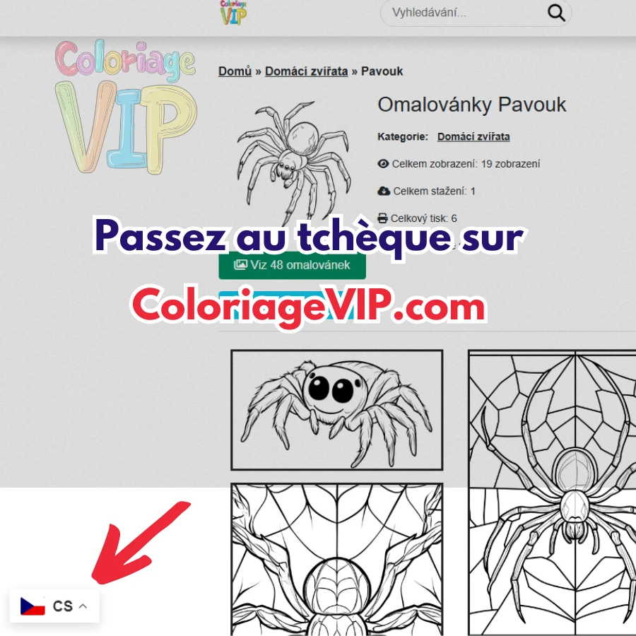 Passez au tchèque sur coloriageVIP.com