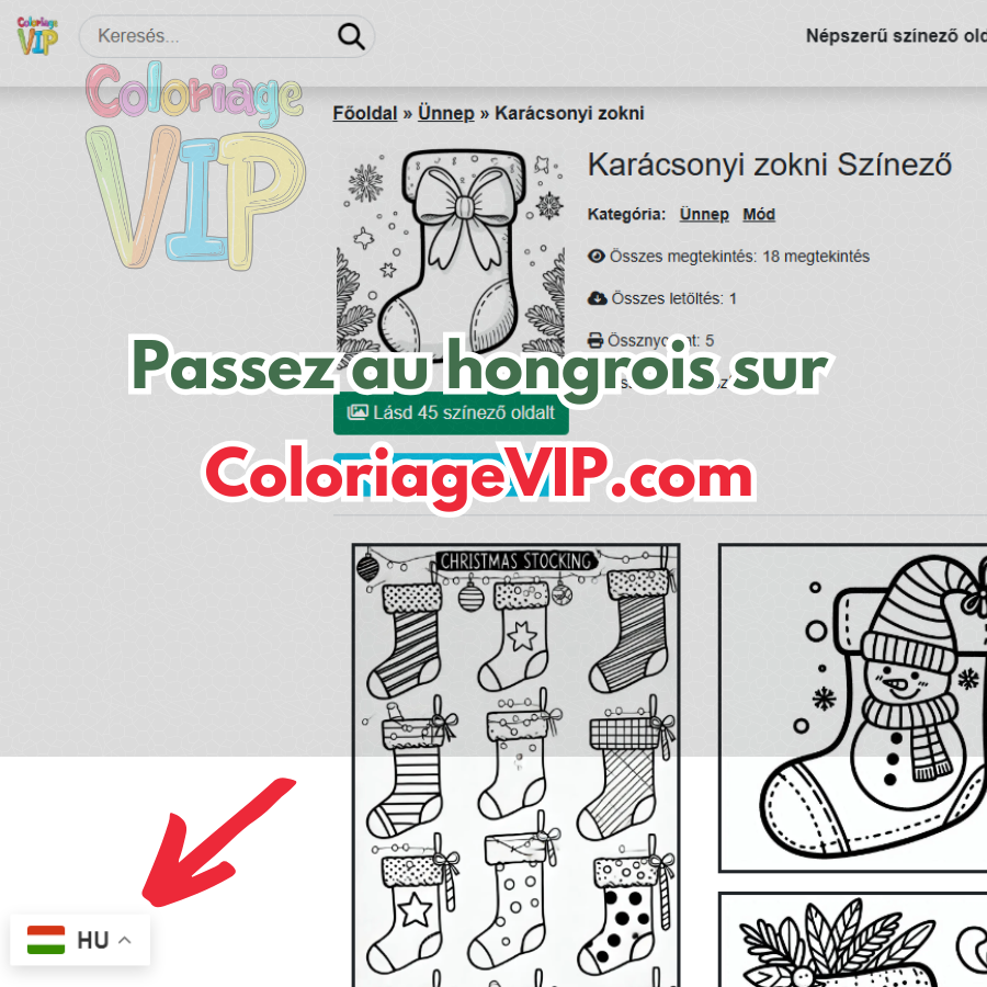 Instructions pour passer au langue hongrois sur coloriagevip.com