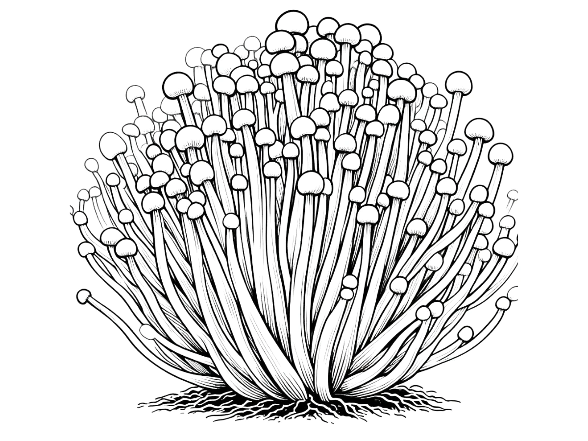 coloriage Champignon et decoupage a imprimer gratuit