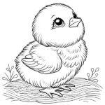Poussin thumbnail