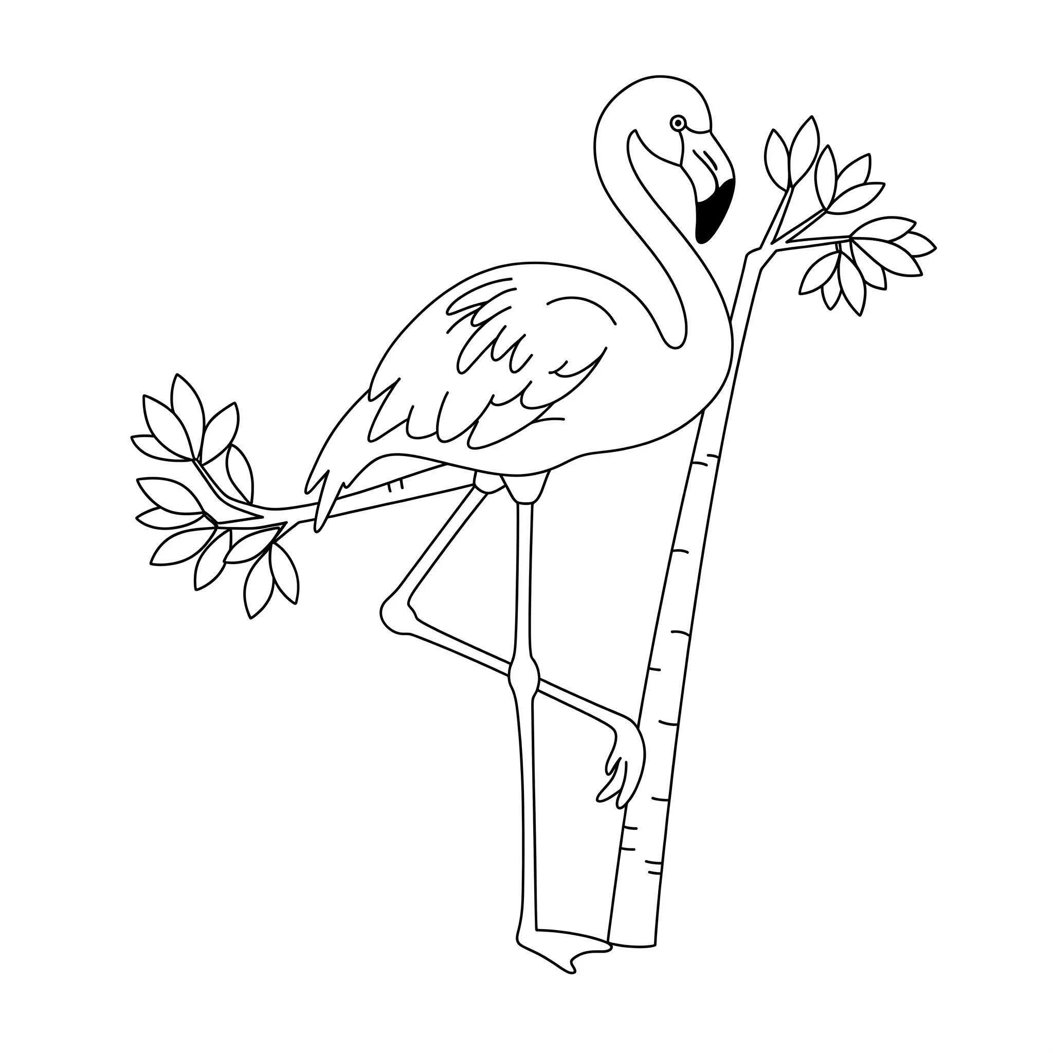 coloriage Flamant Rose a imprimer gratuitement