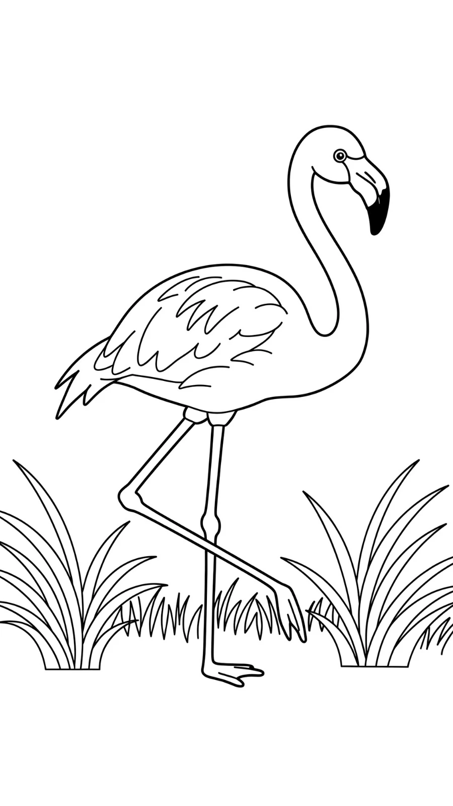 coloriage Flamant Rose pour enfant de 10 ans