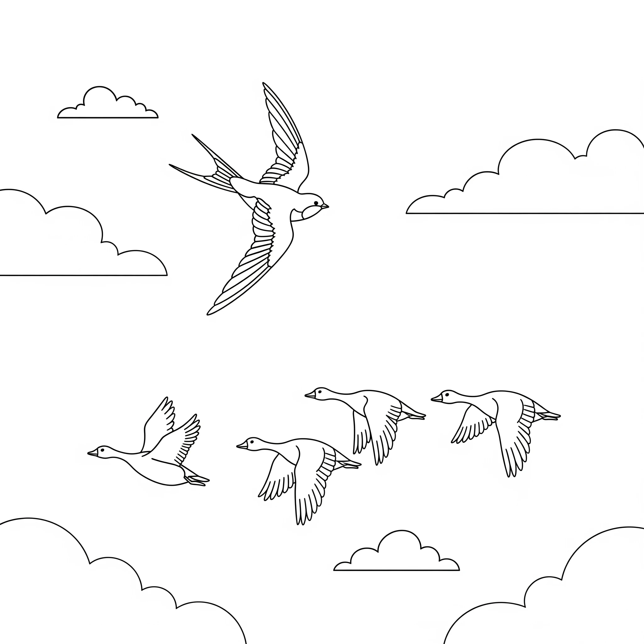 coloriage Hirondelle à imprimer pdf