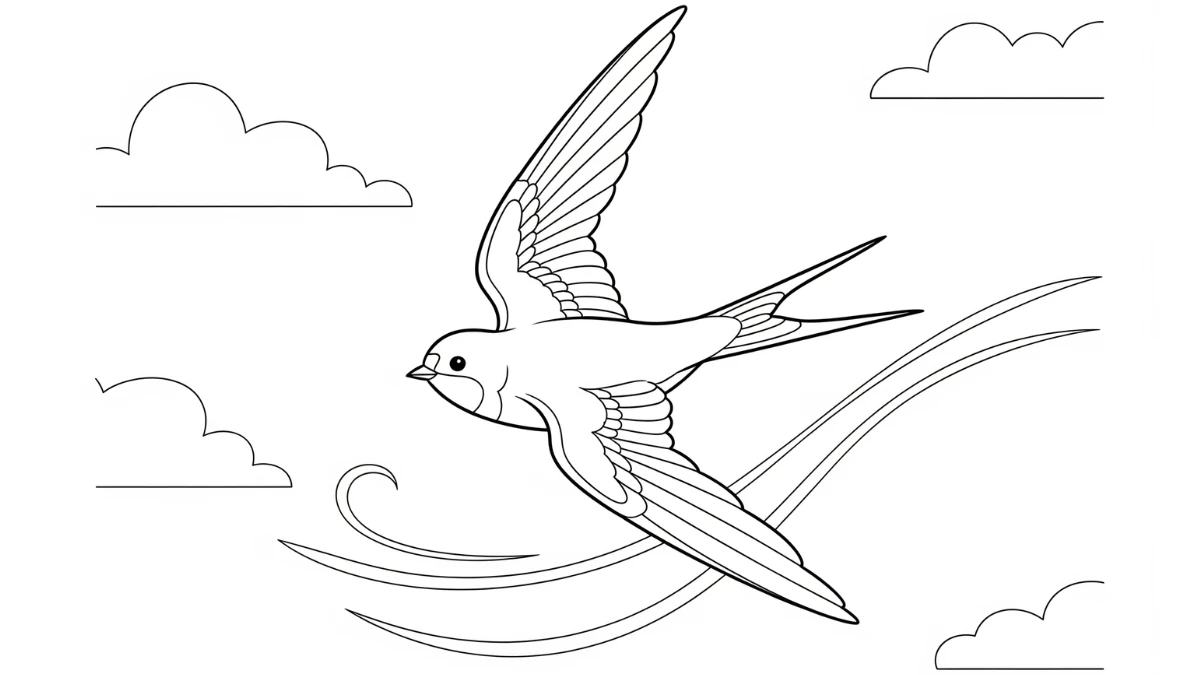 coloriage Hirondelle educatif pour enfant