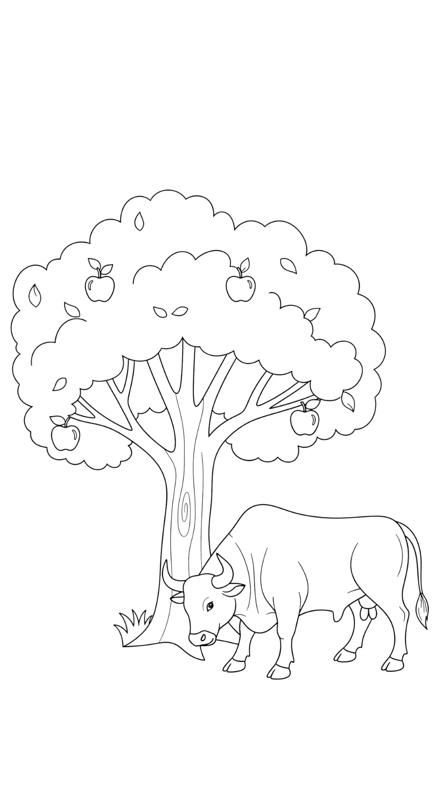 coloriage Taureau à imprimer pdf gratuit