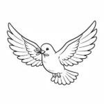 Colombe thumbnail