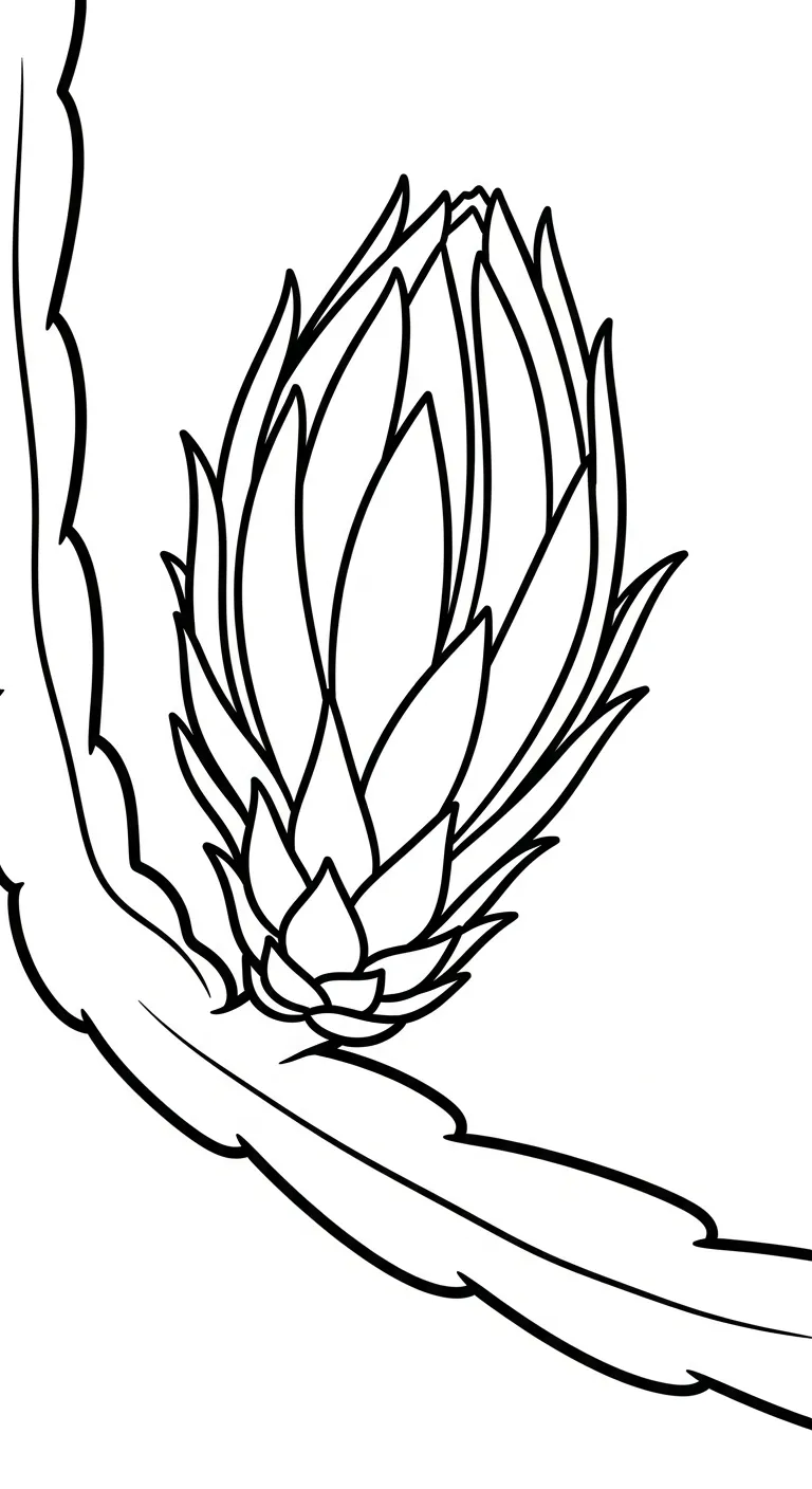 coloriage Fruit du Dragon a dessiner en ligne