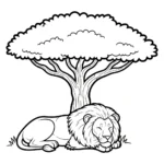 Lion thumbnail