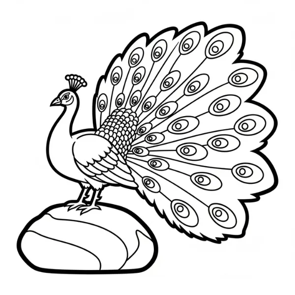 coloriage Paon et découpage à imprimer