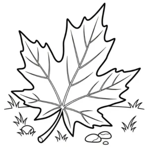 Feuille d’Érable thumbnail