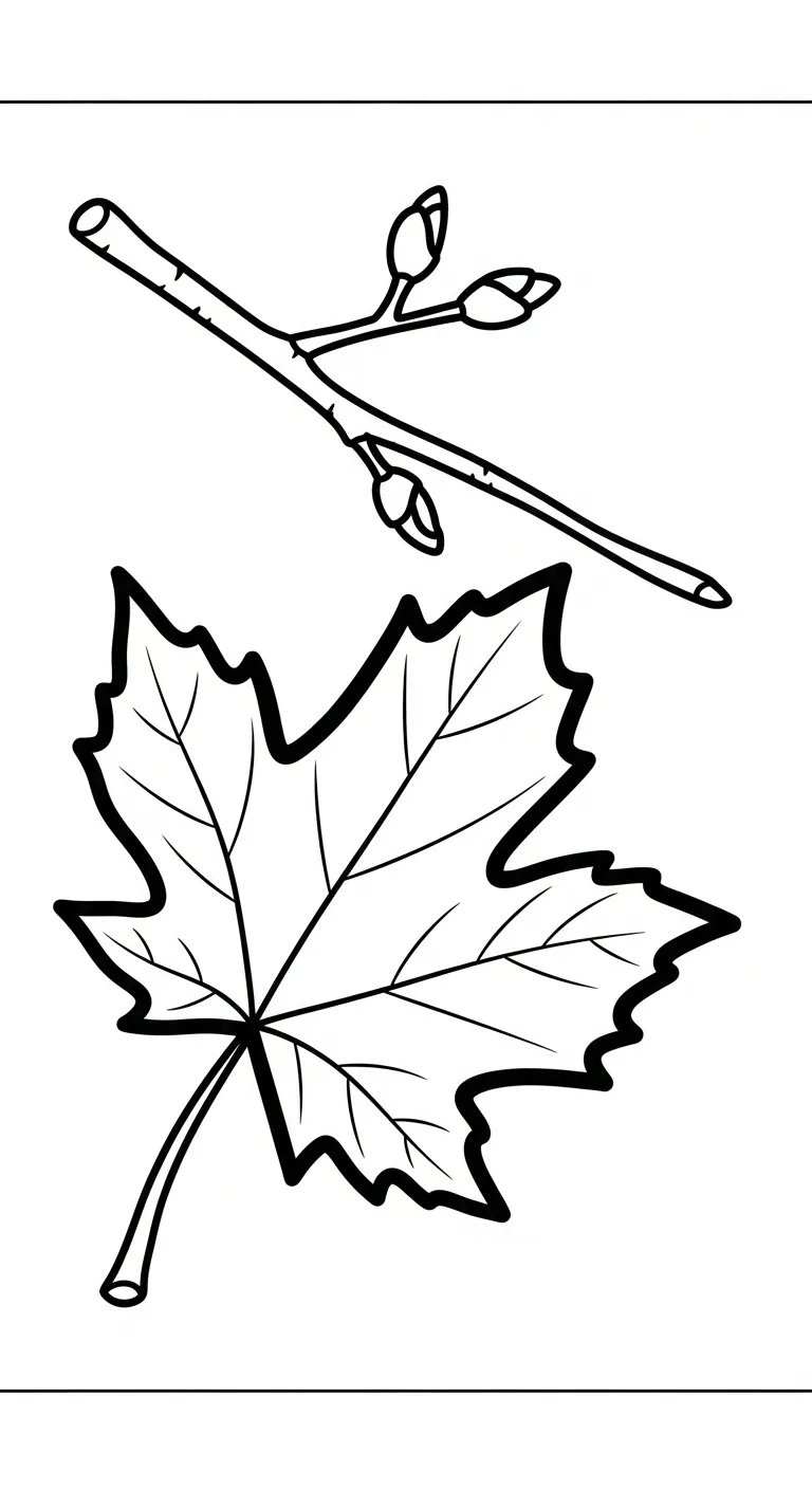 coloriage Feuille d’Érable à imprimer pour enfants 1