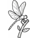 Libellule thumbnail