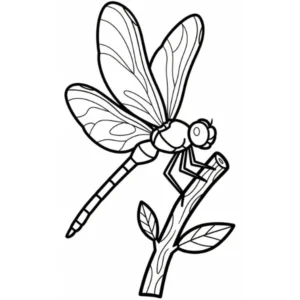 Libellule thumbnail