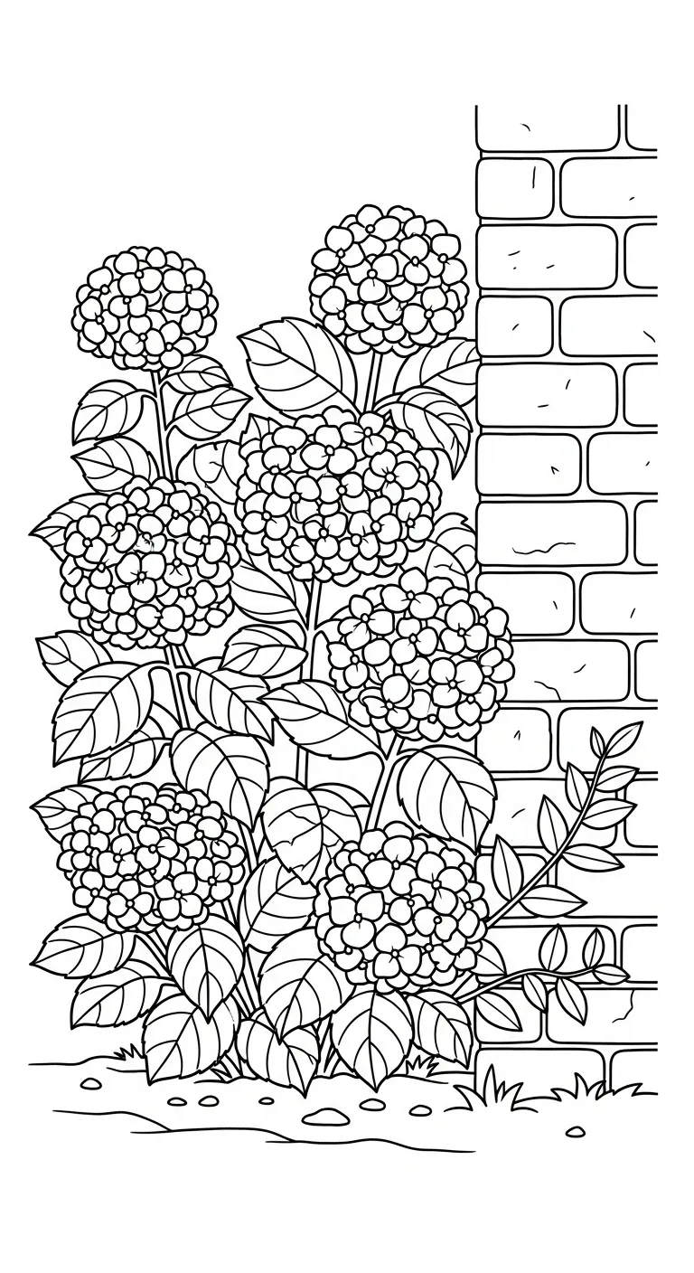 coloriage Hortensia gratuit