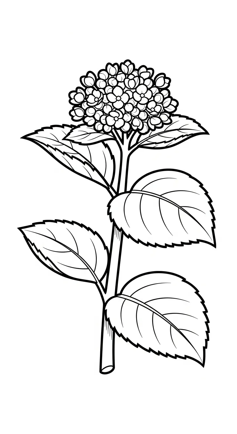 coloriage Hortensia a imprimer pour enfant de 4 ans