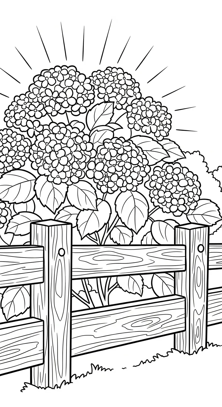 coloriage Hortensia gratuit a imprimer