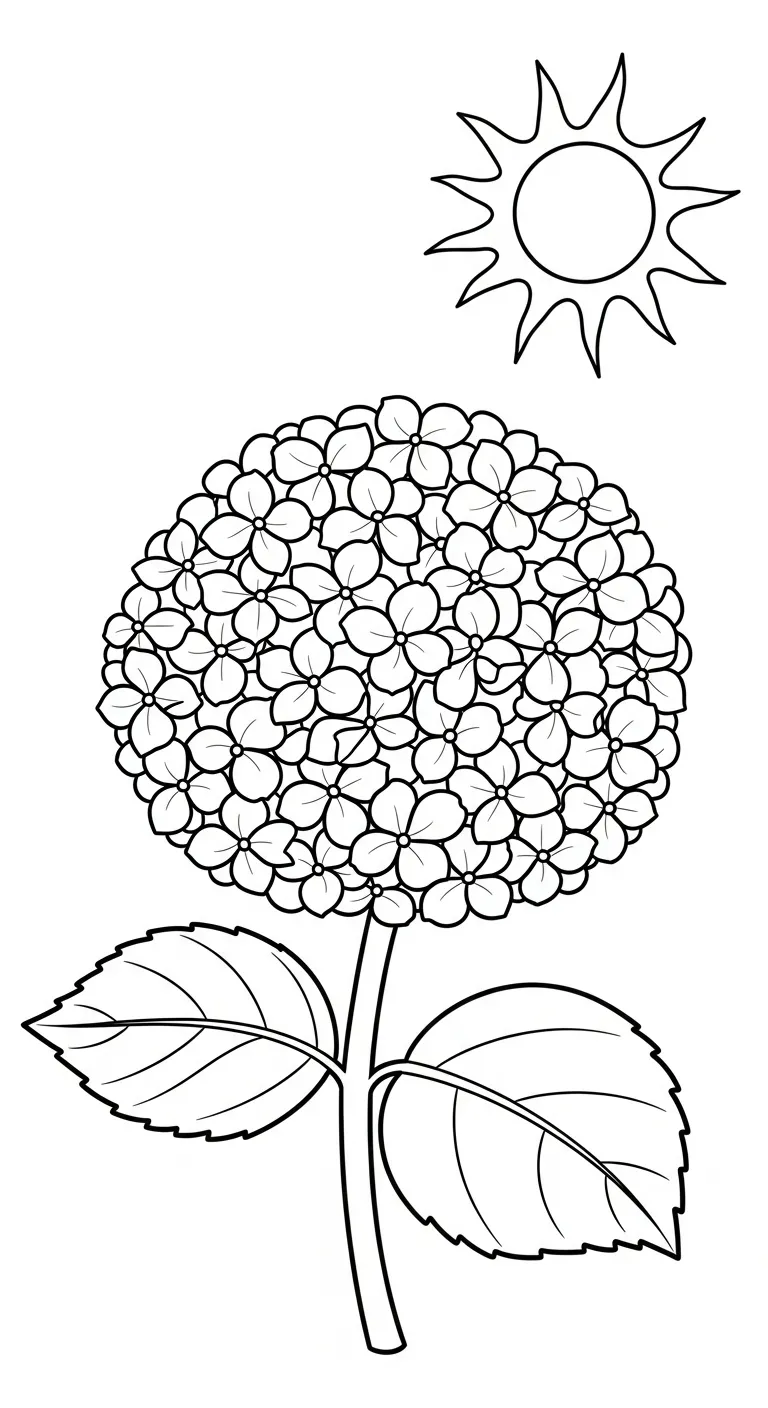 imprimer coloriage Hortensia