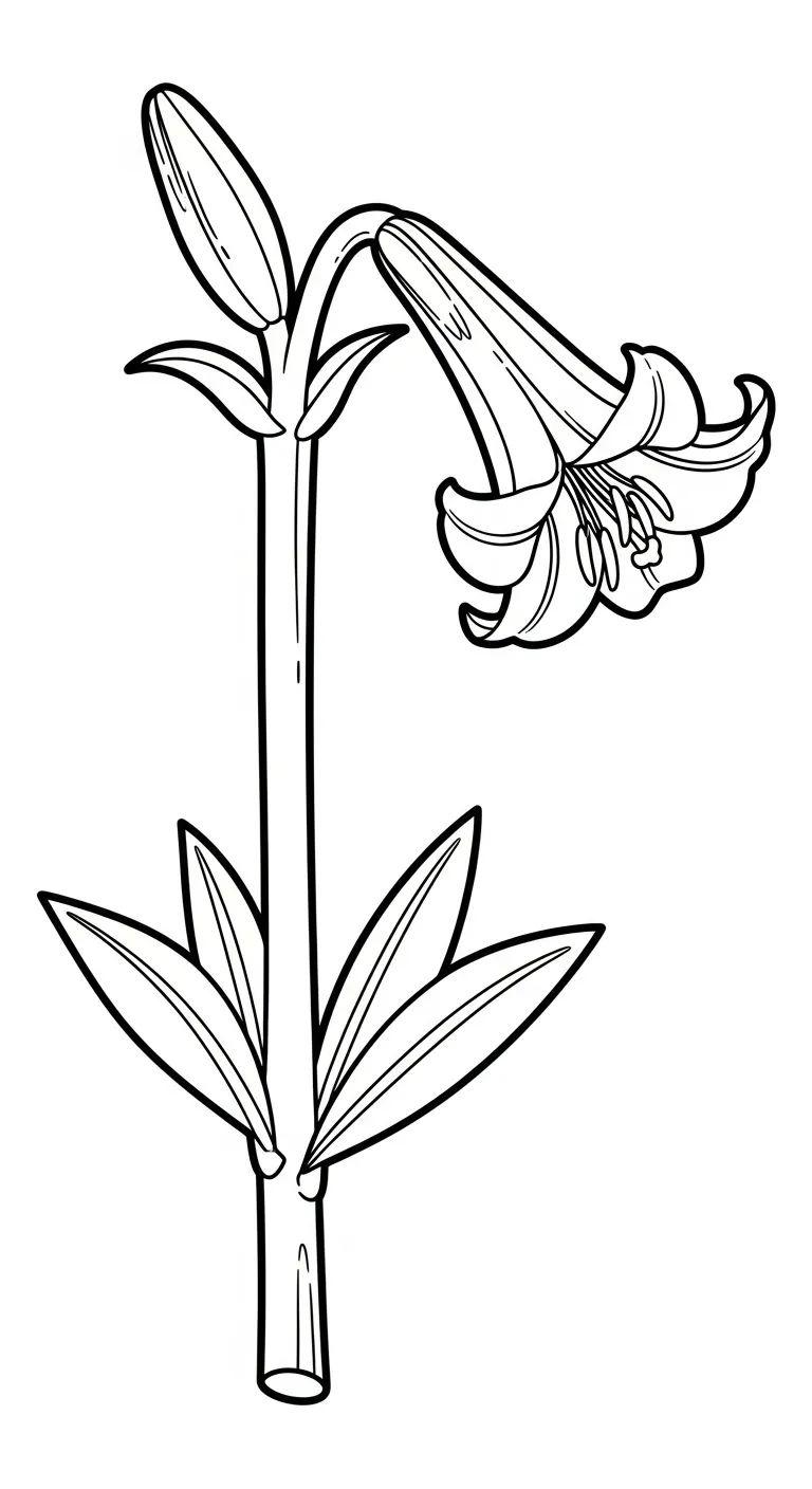 télécharger coloriage Lys gratuit