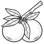 Orange thumbnail
