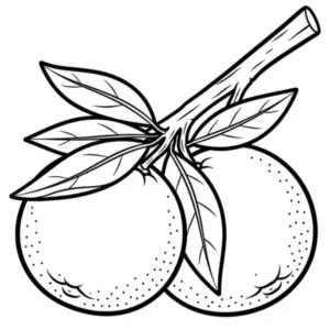Orange thumbnail