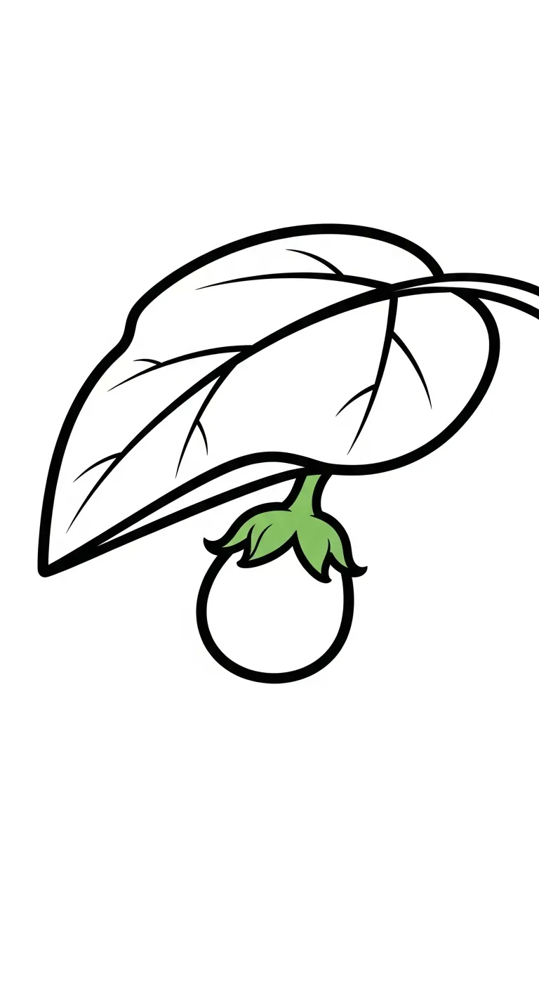 coloriage Aubergine gratuit a imprimer