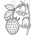 Framboise thumbnail