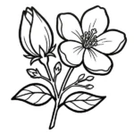 Jasmin