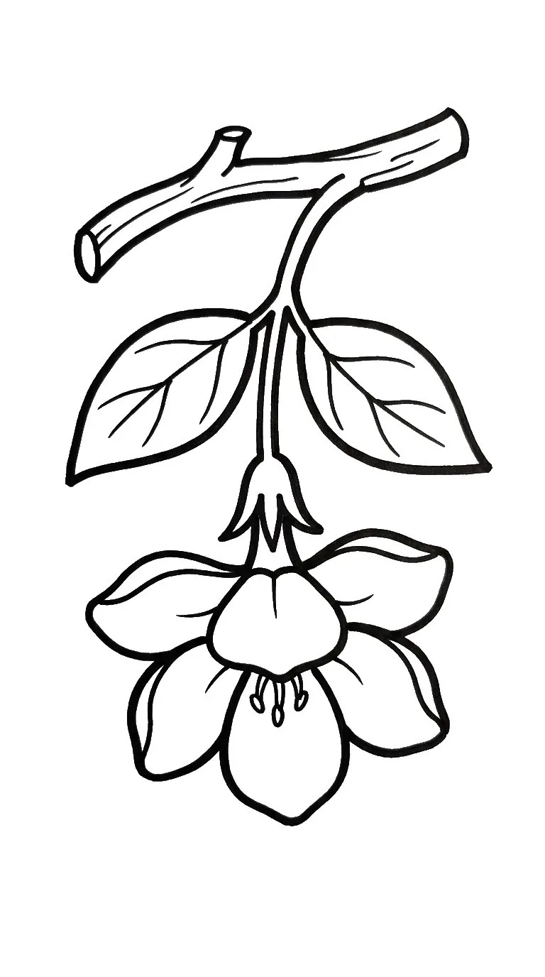 coloriage Jasmin et dessins
