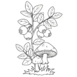 Myrtille