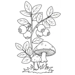 Myrtille