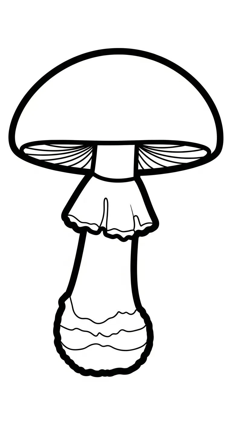 télécharger coloriage Oronge gratuit