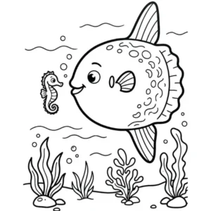 Poisson Lune