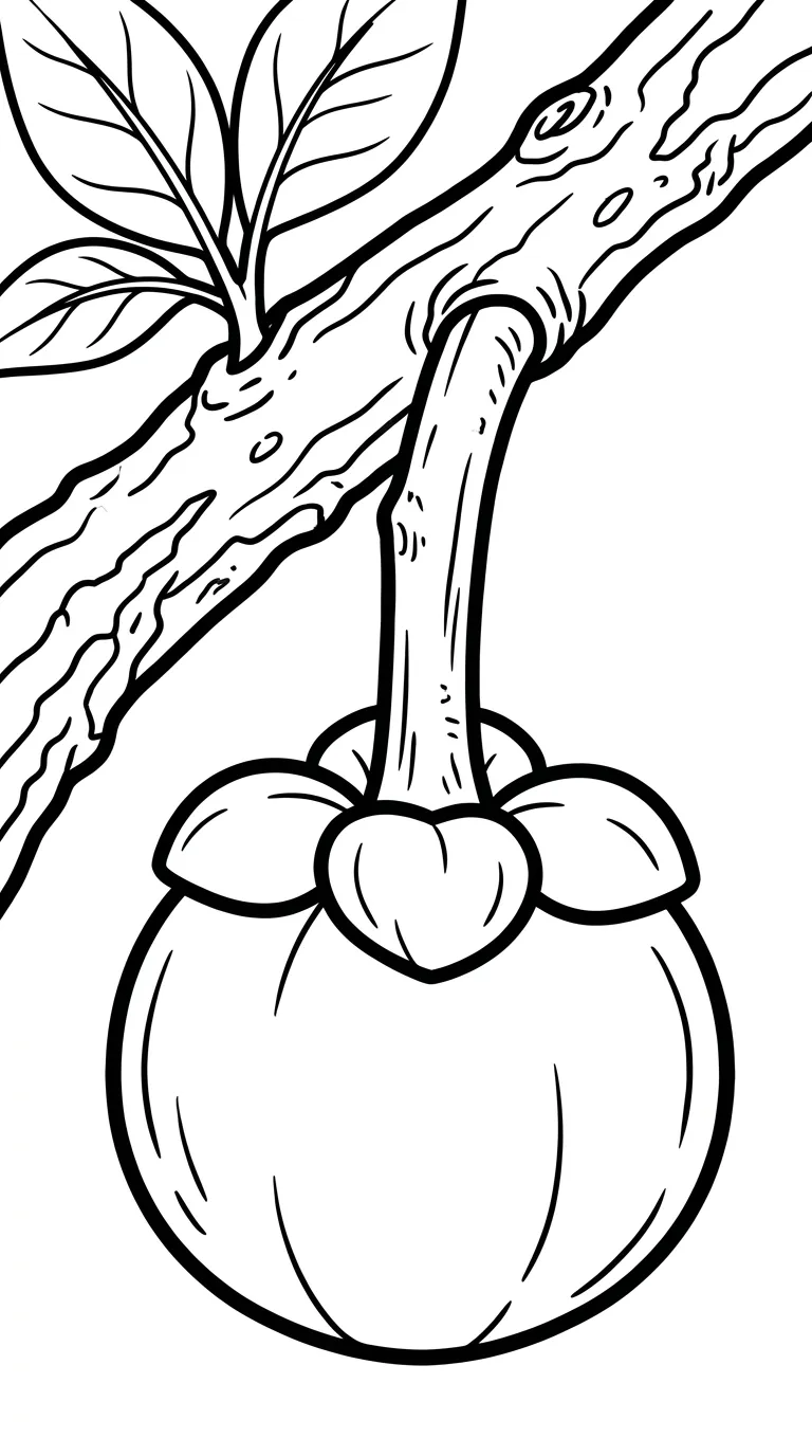 coloriage Mangoustan a imprimer gratuitement 1